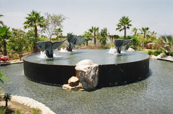 Pool by the Medina family