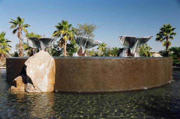 Pool by the Medina family